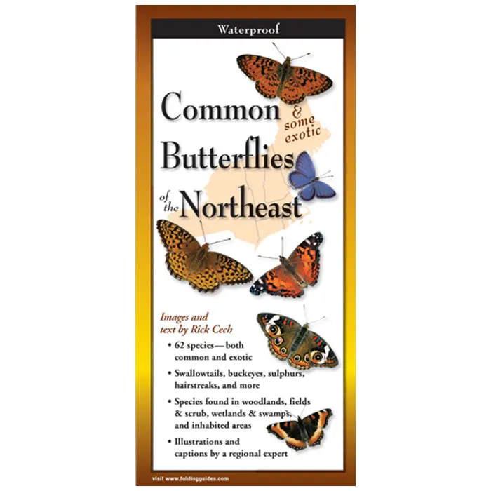 Common Butterflies of the Northeast Folding Guide